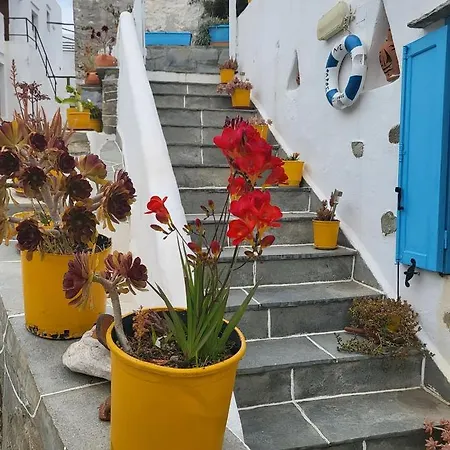 Gorgona Holiday home *