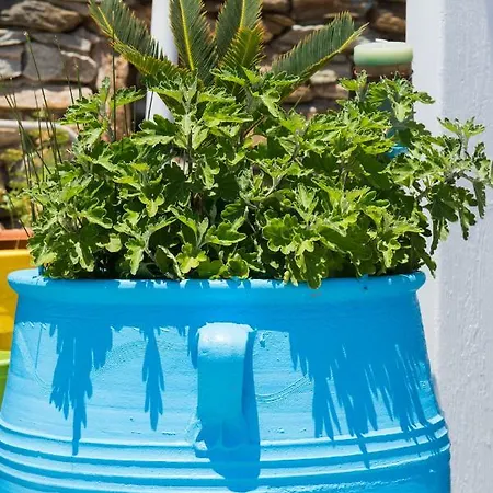 Holiday home Gorgona Faros (Sifnos)