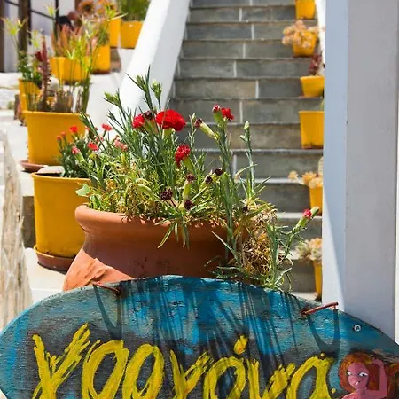 Gorgona * פארוס
