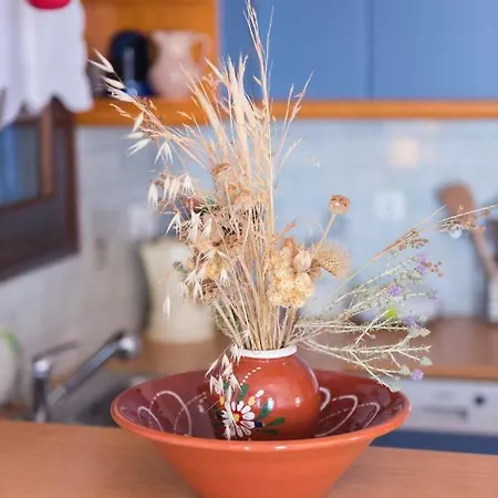 בית נופש Gorgona פארוס